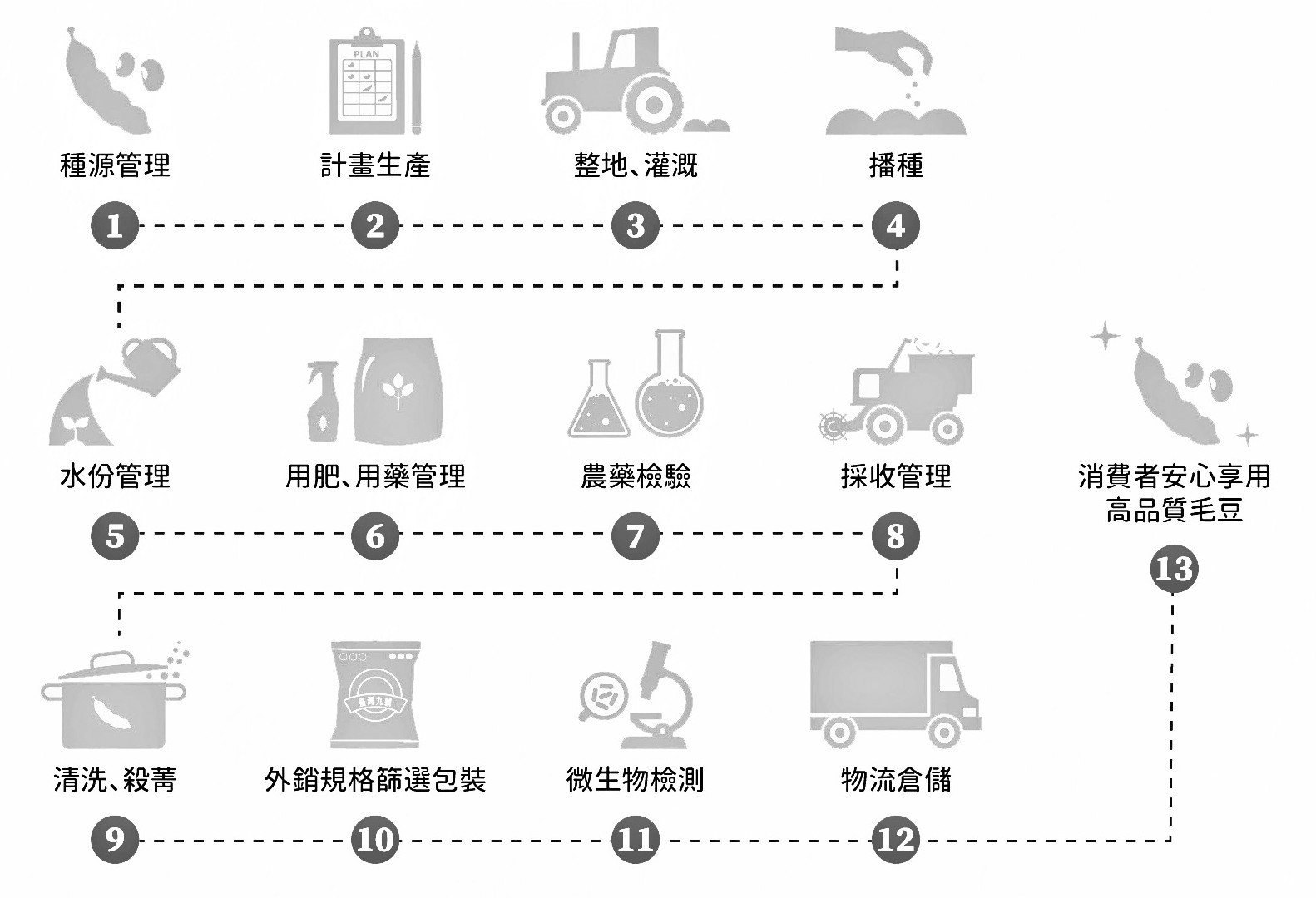 從種源管理、計畫生產到物流倉儲，共十三道毛豆產銷流程